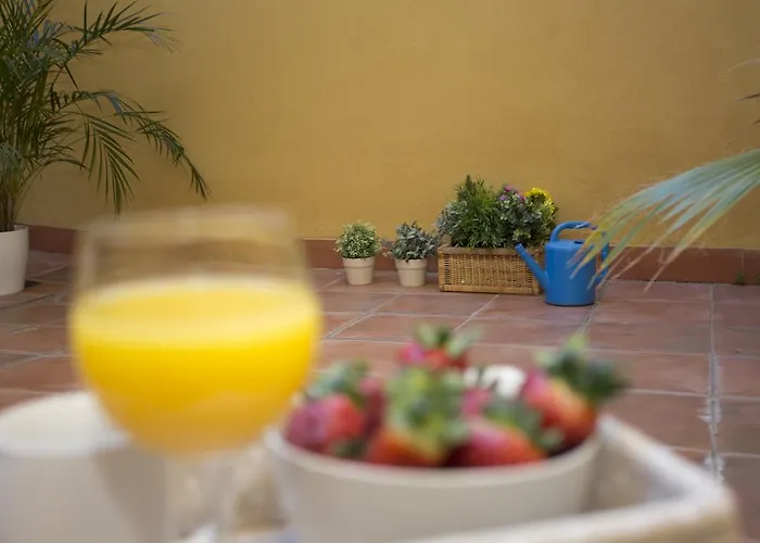 Hostel Singularstays Botanico 29 *
