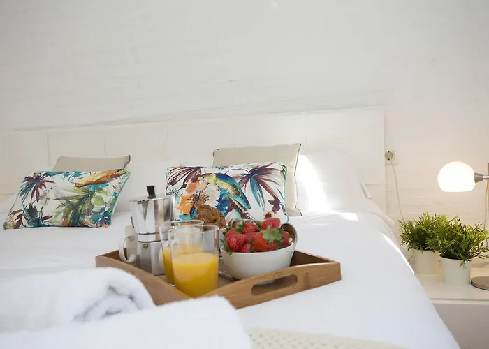 Singularstays Botanico 29 * Valencia