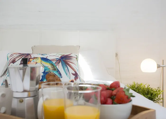 Hostel Singularstays Botanico 29
