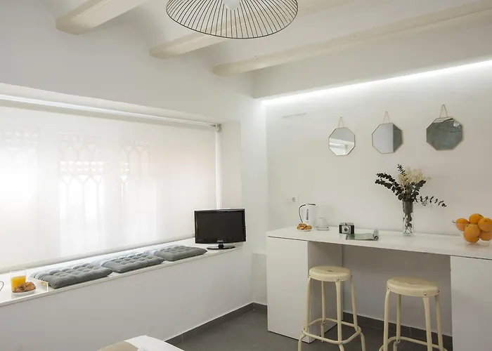 Singularstays Botanico 29 Hostel Valencia