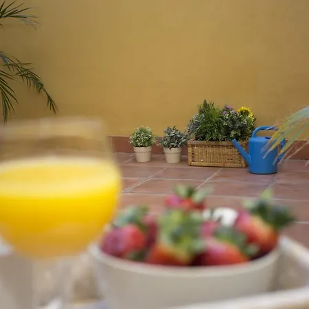 Hostal Singularstays Botanico 29 *