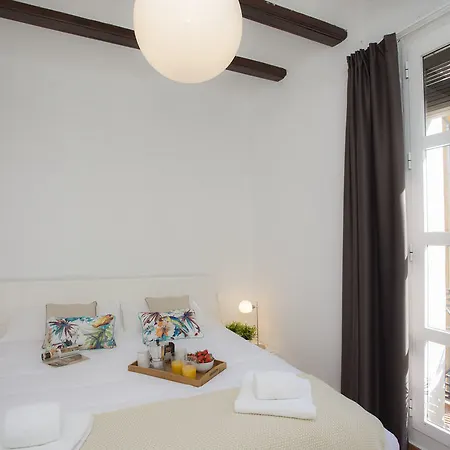 Singularstays Botanico 29 Hostal Valencia
